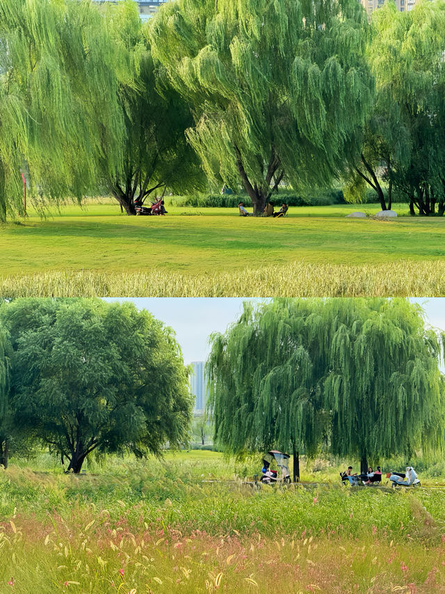 西安16個露營公園踩點!心中排前3的是...。 西安16個露營公園踩點!心中排前3的是...。