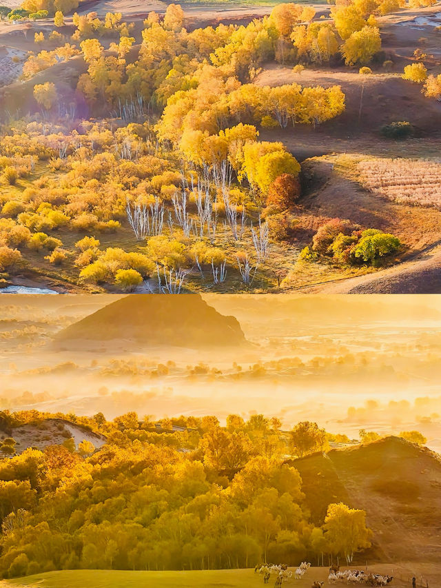 內蒙古的秋天。