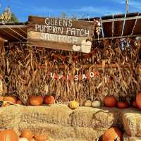 Spooky Halloween Attractions In the Haunted house
