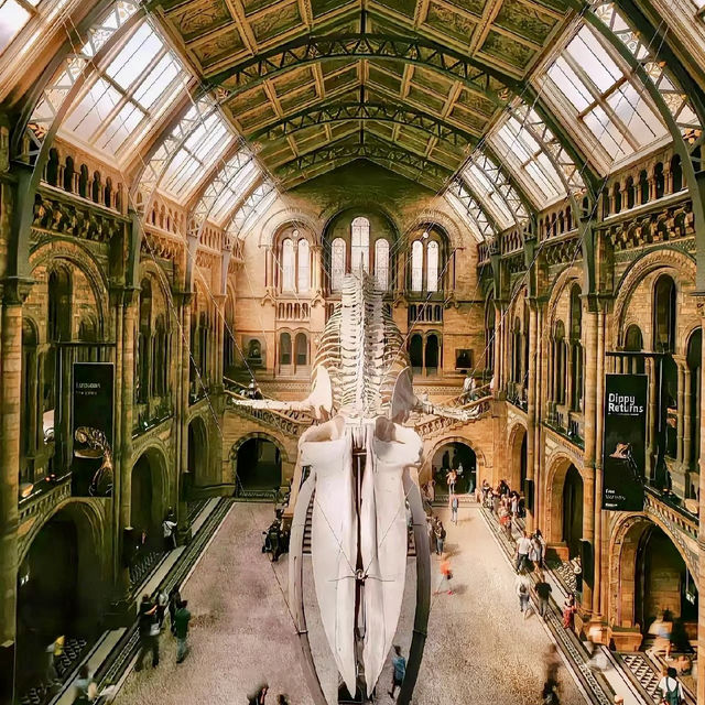 The British Museum ( UK England) place of beauty and history 