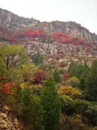山東石門坊｜齊魯紅葉。