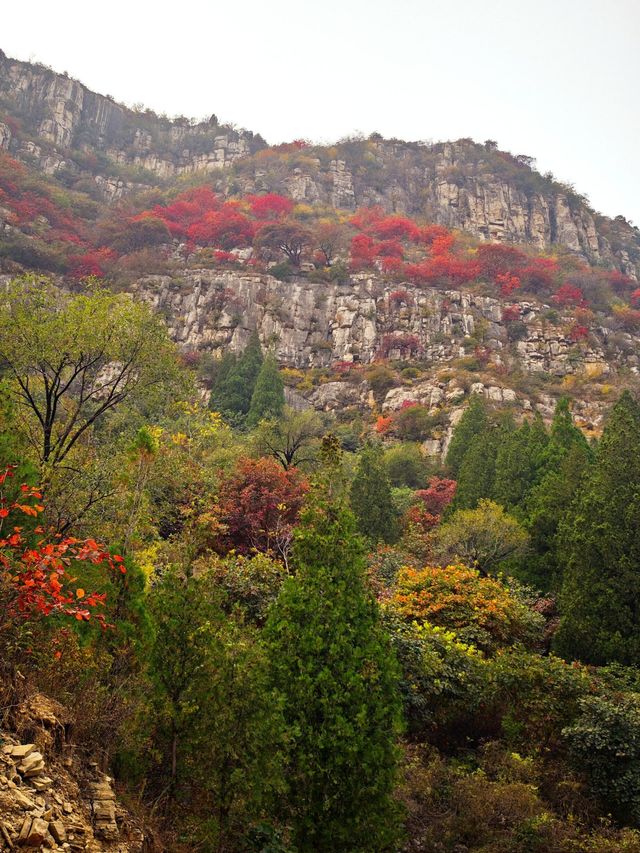 山東石門坊｜齊魯紅葉。