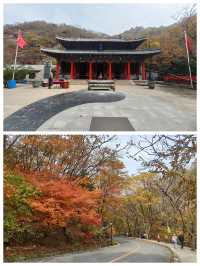 丹東鳳城鳳凰山，秋賞紅葉漫山遍野，層林盡染色彩斑斕。