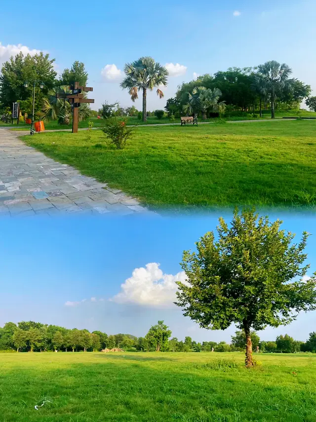 「イスラマバードの丘陵公園：自然のオアシスにある静寂と美しさ」。