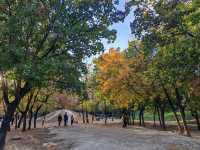 多彩京秋——圓明園獅子林。