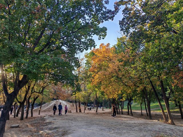 多彩京秋——圓明園獅子林。