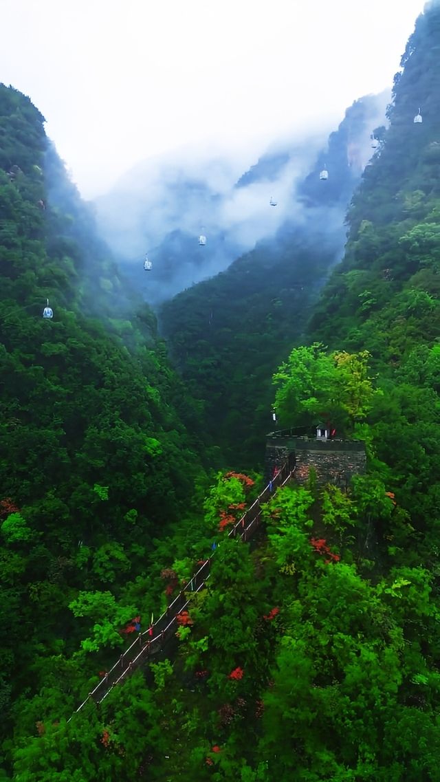 金絲大峽谷。