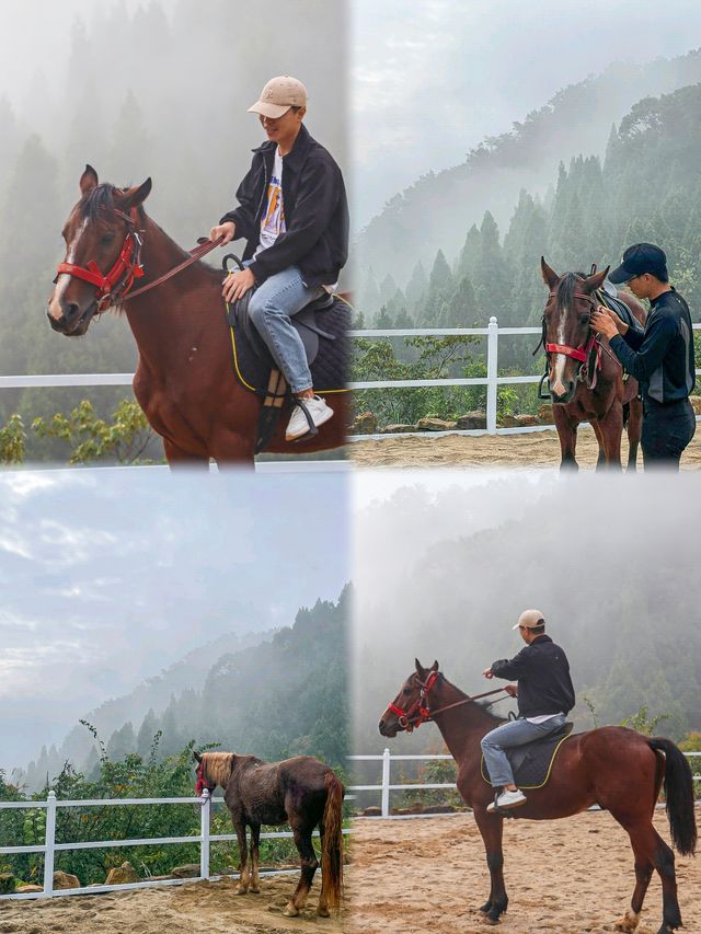 接下來的宜昌，堪稱國內秋日旅遊天花板。