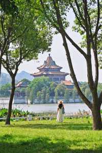 佛山你也太厲害了！免費的公園都這麼好拍。