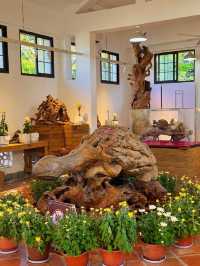 速看！中山公園菊花展遊玩攻略。