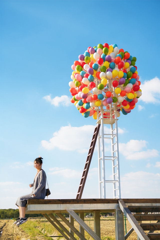 不敢相信上海也有喜洲版麥田就在李窯村。 不敢相信上海也有喜洲版麥田就在李窯村。