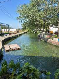 全州龍井村｜自然風光。