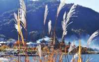 東京河口湖富士山賞紅葉全攻略。