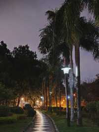 福州閩江公園|福州的浪漫，閩江公園佔一半。