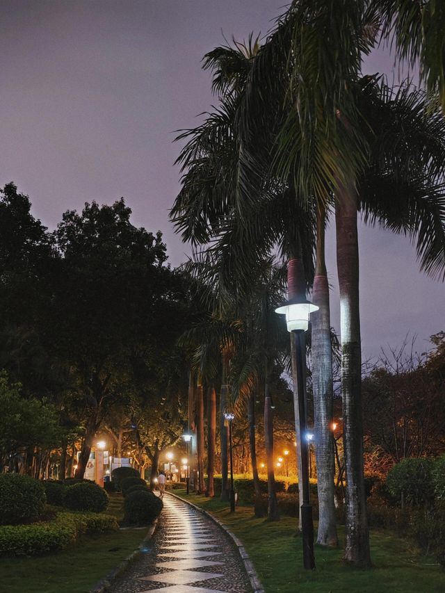 福州閩江公園|福州的浪漫，閩江公園佔一半。