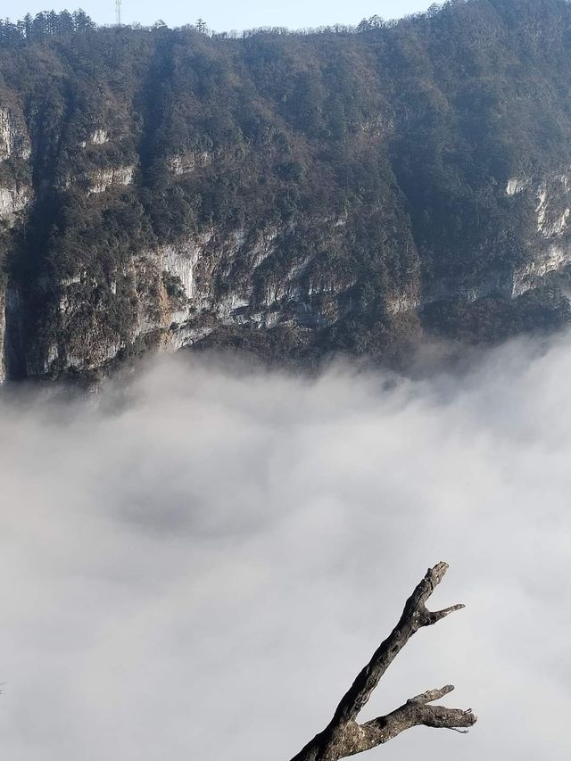 雲端之上，尋覓心靈淨土 — 峨眉山，一幅行走的水墨畫卷。