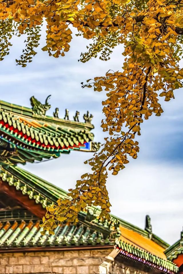 青島湛山寺 | 鬧市中的心靈淨土。 青島湛山寺 | 鬧市中的心靈淨土。