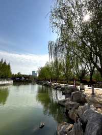 月湖畔，邂逅詩意畫卷，漫步商丘的「城市之眼」。