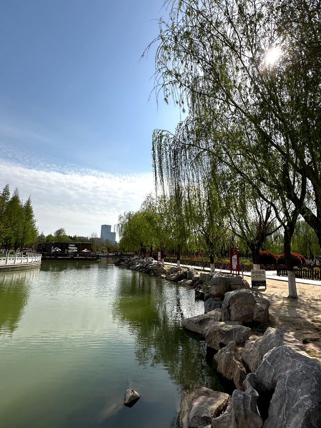 月湖畔，邂逅詩意畫卷，漫步商丘的「城市之眼」。