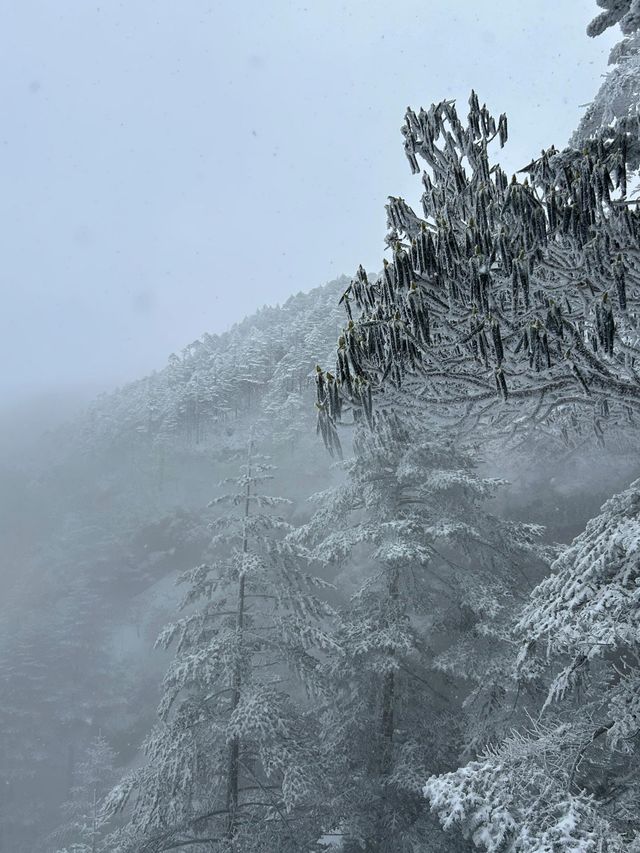 「滇中第一山」雲南的雪鄉！冰雪的仙境。