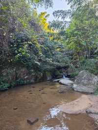 《神龍潭瀑布：探秘自然奇境，暢享山水逸趣之旅》。