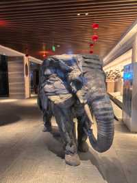 濟南人民後花園，冬日度假好去處－齊河孔雀王溫泉酒店。