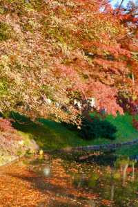 東京賞秋｜最後4天，這個精美的日式庭院不僅有紅葉