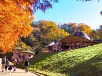 Discover the Charm of Saitama's Little Nordic