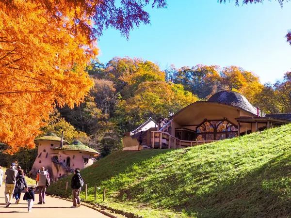 Discover the Charm of Saitama's Little Nordic