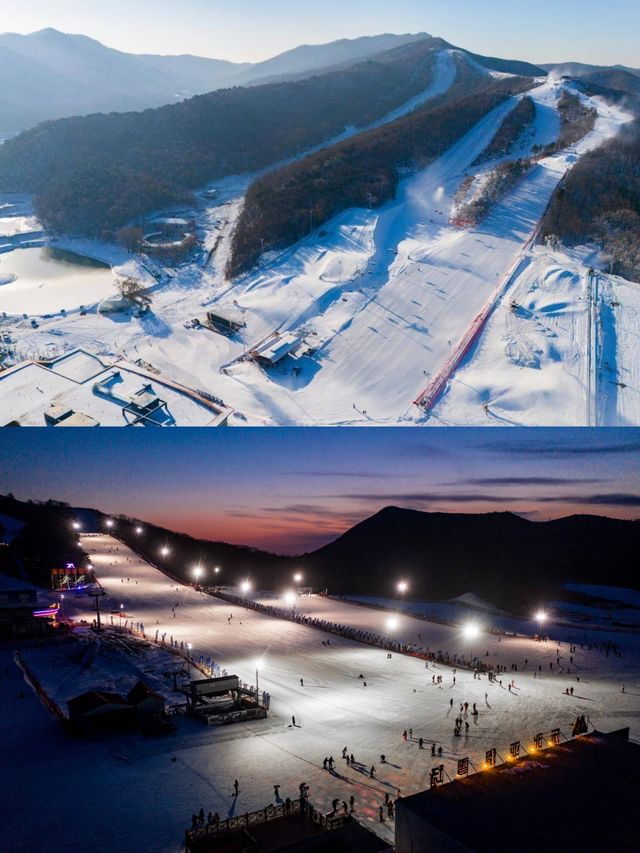 瀋陽東北亞滑雪場