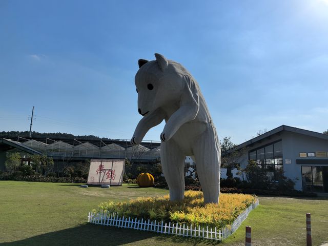 九龍灣花星球，邂逅浪漫花海奇境 