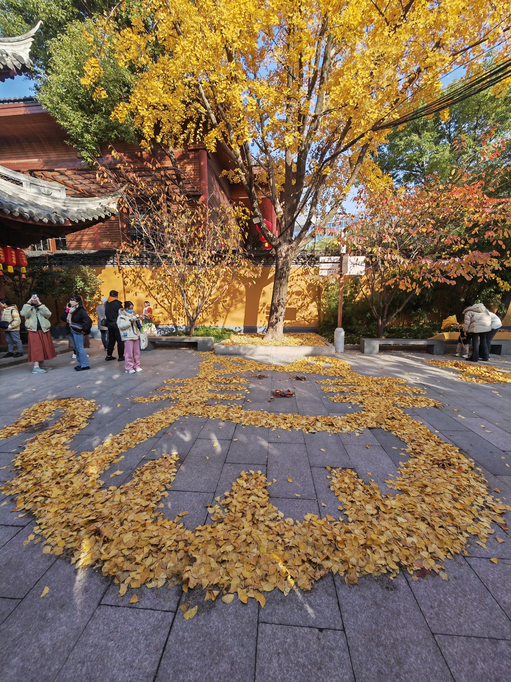 最新】竜華寺 - チケット、営業時間、口コミ、写真 [2025年] Trip.com