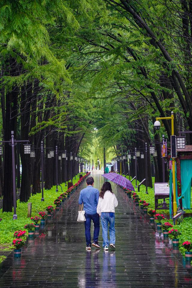 在李中水上森林公園體驗「人在畫中游」