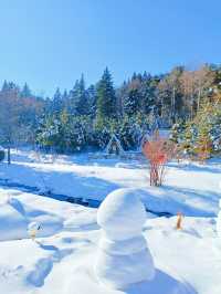 對不起了雪鄉，與之相比這裡更是童話世界！