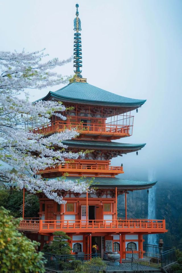 熊野古道行山