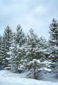 這還是我認識的崇禮嗎？/富龍滑雪場