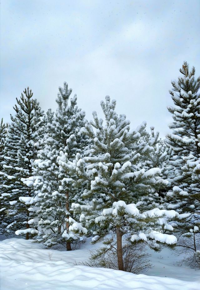 這還是我認識的崇禮嗎？/富龍滑雪場