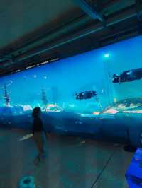 遛娃寶地 世界技能博物館