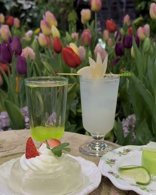 "Tulips: A Spring Love Letter Blooming in Hangzhou" 