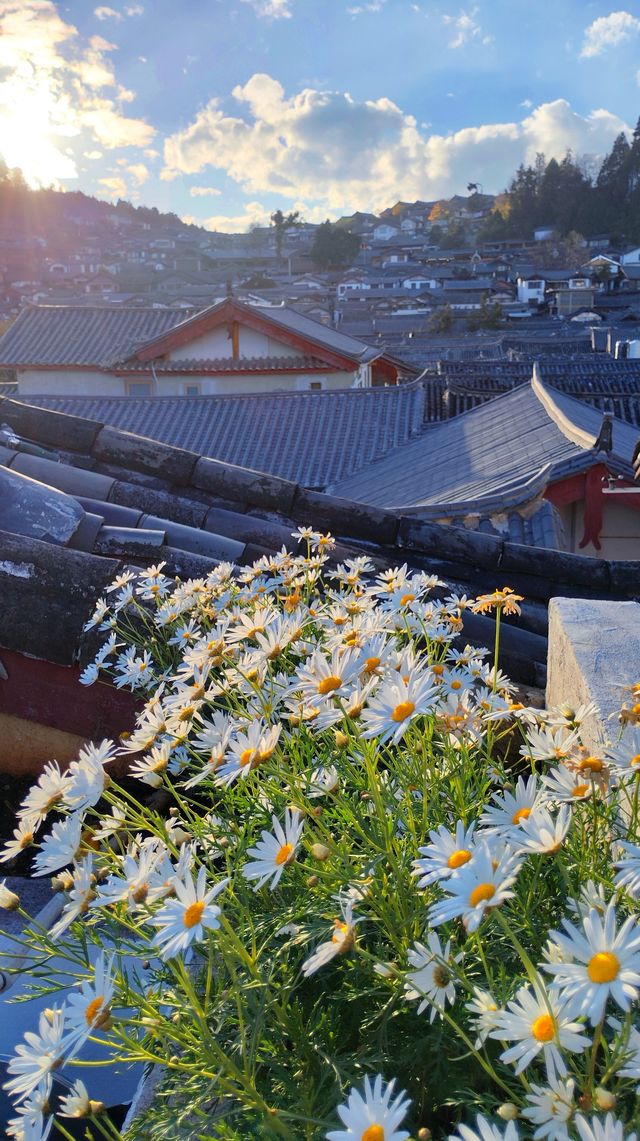 雲南麗江｜花無雙花園美宿