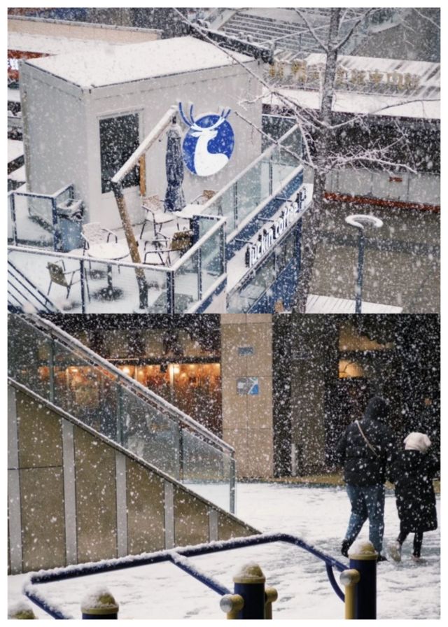 有被威海的雪景震撼到~