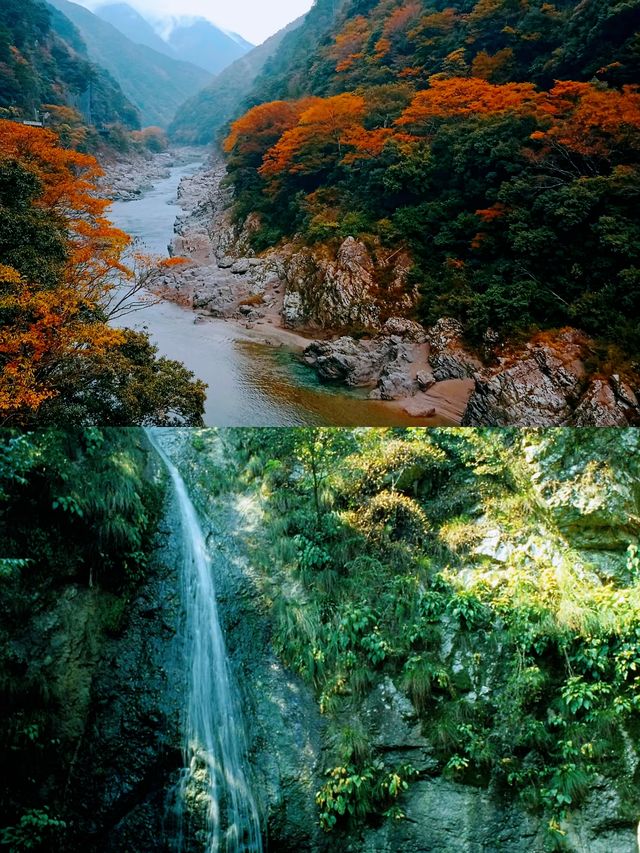 德島之旅，體驗日式文化與現代生活嘅完美融合