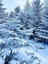 白雪、冰晶、霧凇、大風車，包你一個冬天不後悔！