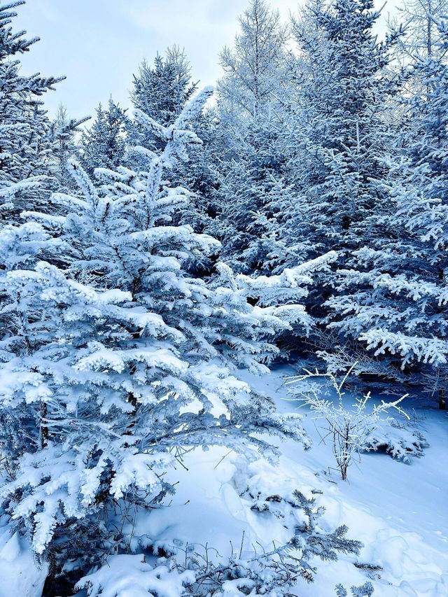 白雪、冰晶、霧凇、大風車，包你一個冬天不後悔！
