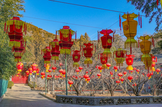 北京過年，我期待紅螺寺的新春祈福遊園會