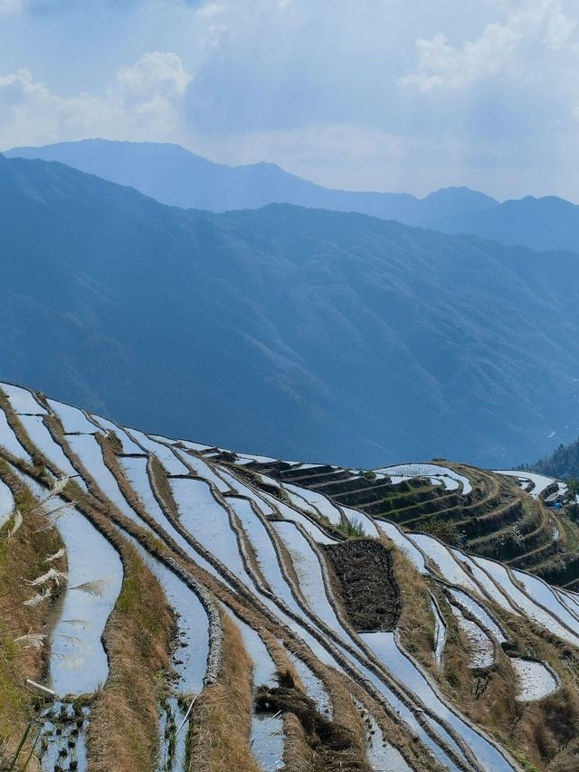 龍脊梯田-三江老友記超全旅遊攻略別錯過
