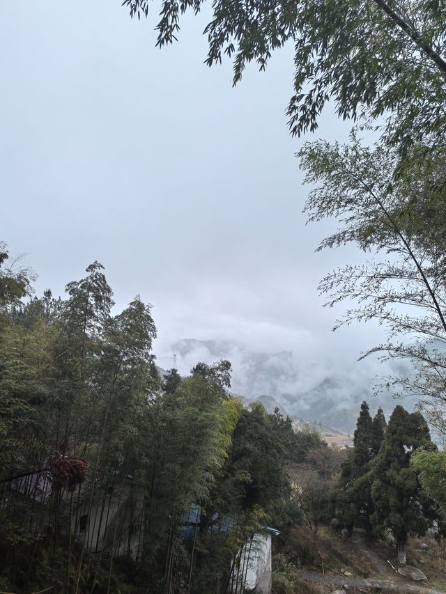 白岩山上白岩寺，立春時節春雨盛
