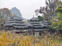 《恭城秋日漫記：柿紅與茶香織就的慢時光》