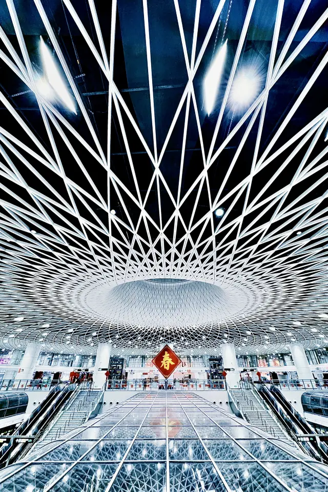 2025·Shenzhen Snapshots
