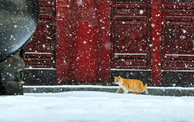 錦州義縣奉國寺遊覽攻略